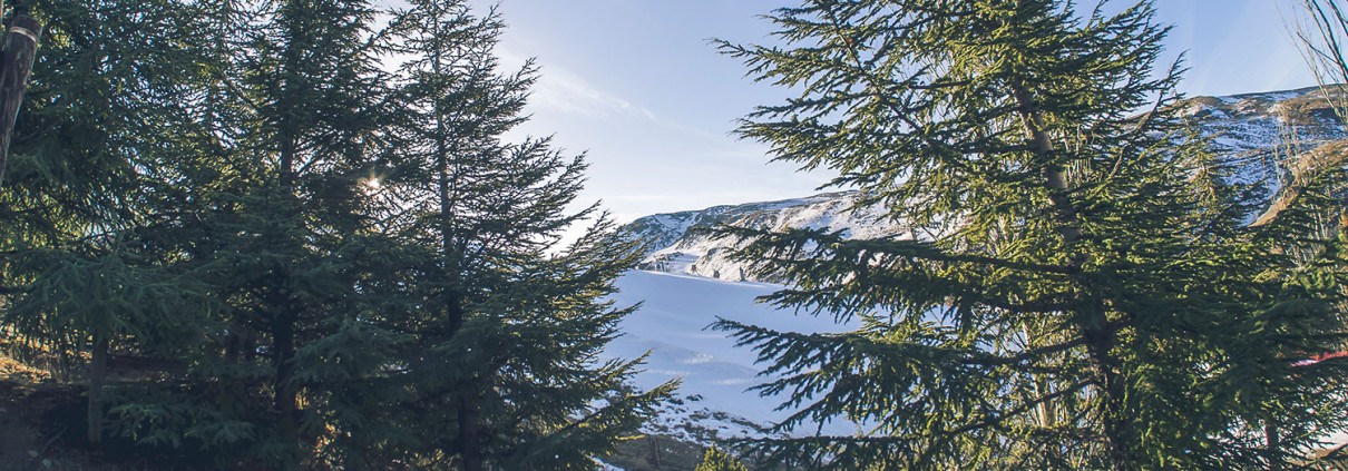 Pradollano - Sierra Nevada