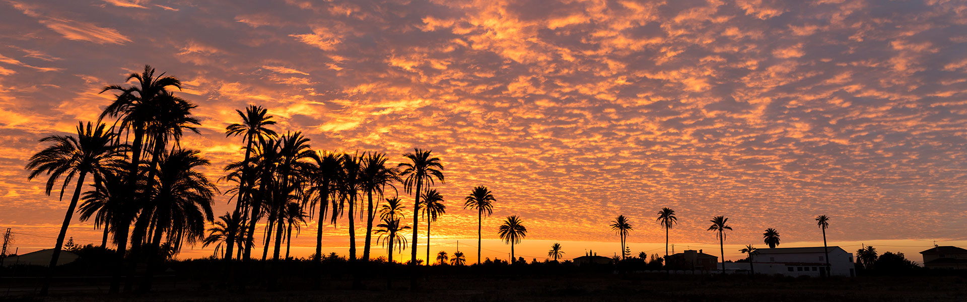Venta de Obra - Elche Venta de Obra - Elche