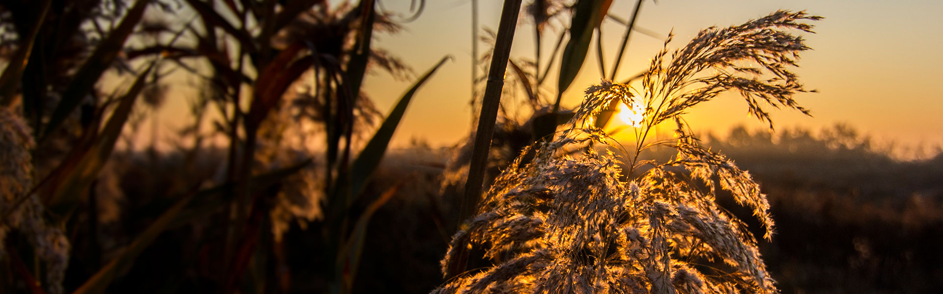Venta de Obra - El Hondo Venta de Obra - El Hondo